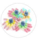 pieuvre acidulée TROLLI
