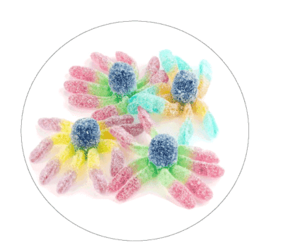 pieuvre acidulée TROLLI