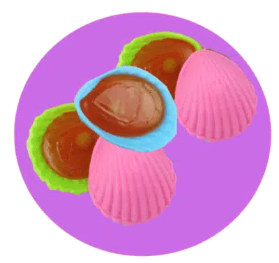 roudoudou coquillage