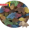 bonbons dinosaures haribo