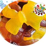 1 maxi papillon Pierrot Gourmand