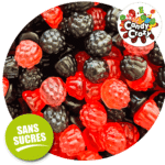 bonbons sans sucre fruits des bois