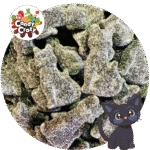 Chats réglisse sucrée bonbon