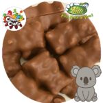 koala chocolat au lait