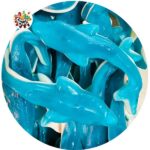 bonbon dauphin XL fini
