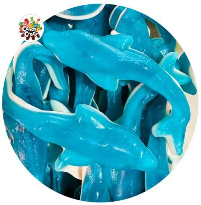 bonbon dauphin XL fini